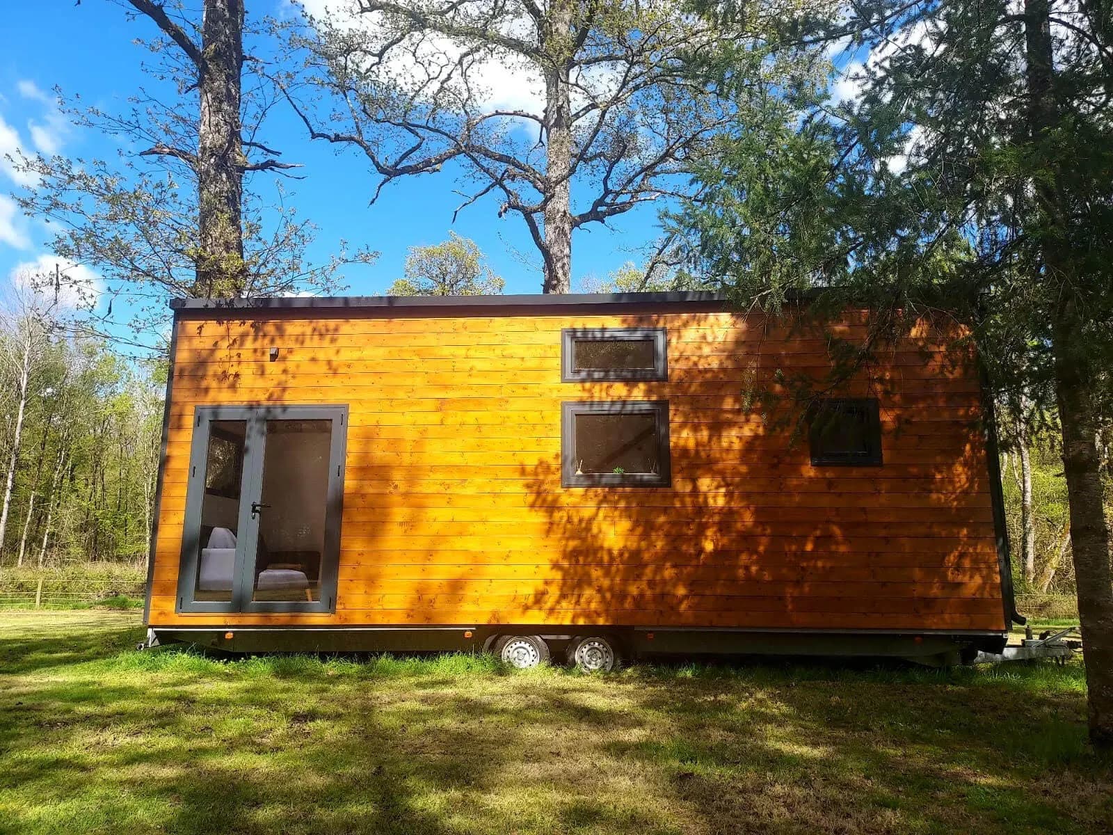 Sharewood dans une clairière ensoleillée